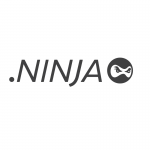 .ninja domain name